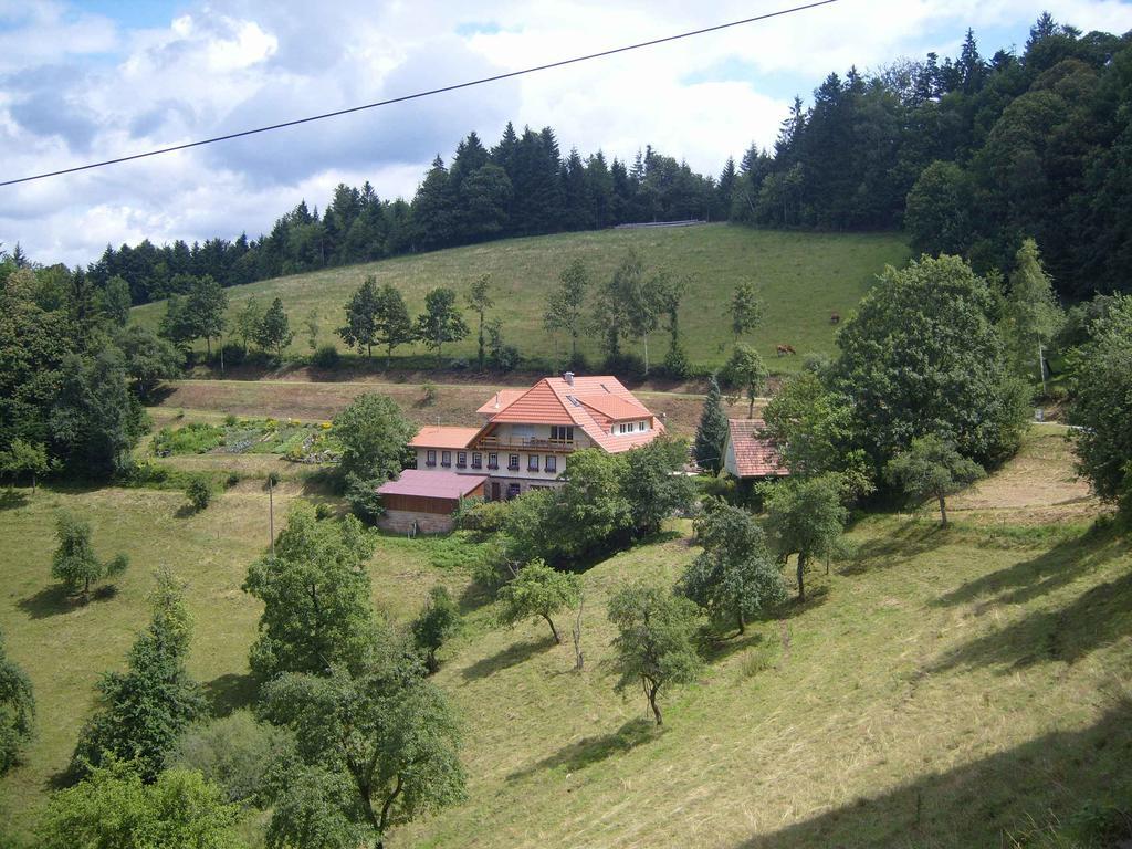 Langenberghof Apartment Oberharmersbach Exterior foto