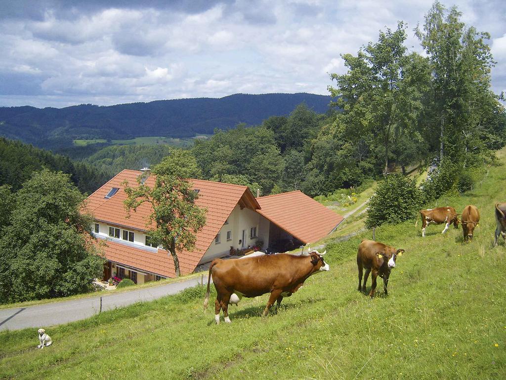 Langenberghof Apartment Oberharmersbach Exterior foto