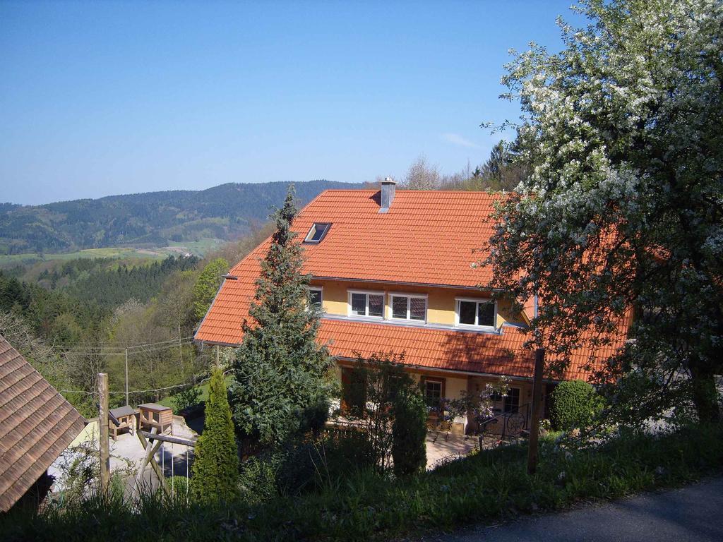 Langenberghof Apartment Oberharmersbach Exterior foto