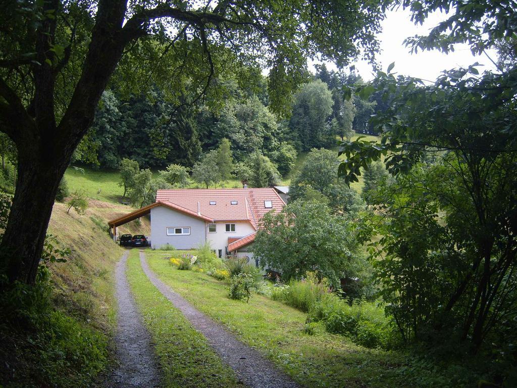 Langenberghof Apartment Oberharmersbach Exterior foto