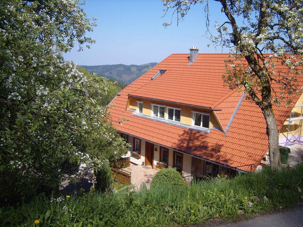 Langenberghof Apartment Oberharmersbach Exterior foto