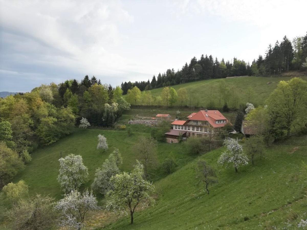 Langenberghof Apartment Oberharmersbach Exterior foto