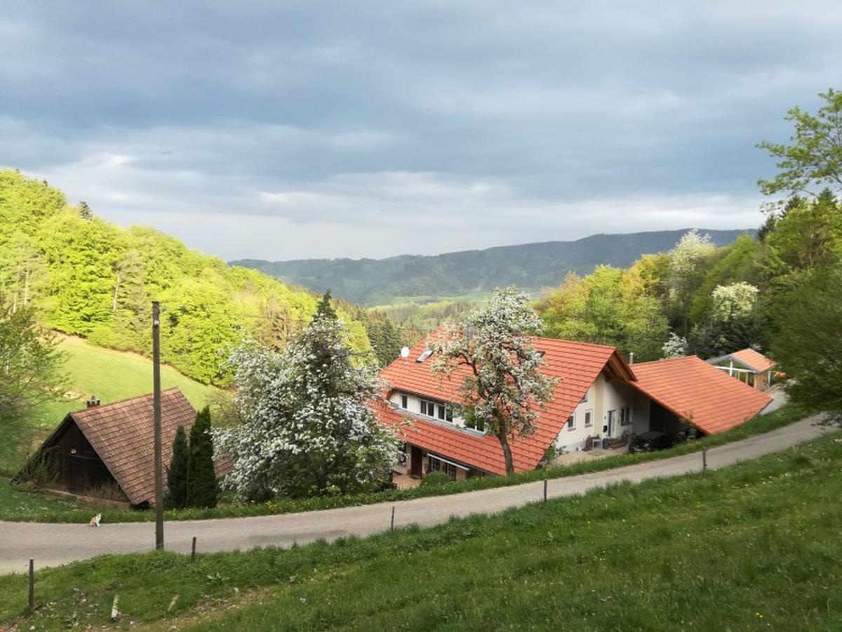 Langenberghof Apartment Oberharmersbach Exterior foto